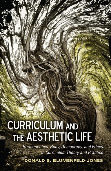 Donald S. Blumenfeld-Jones - Curriculum and the Aesthetic Life, Häftad