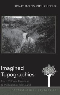 bokomslag Imagined Topographies