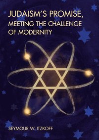 bokomslag Judaism's Promise, Meeting the Challenge of Modernity