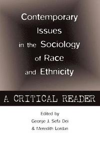 bokomslag Contemporary Issues in the Sociology of Race and Ethnicity