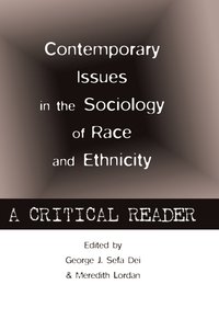 bokomslag Contemporary Issues in the Sociology of Race and Ethnicity