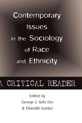 bokomslag Contemporary Issues in the Sociology of Race and Ethnicity