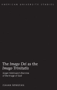 bokomslag The Imago Dei as the Imago Trinitatis