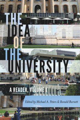 Michael Adrian Peters, Ronald Barnett, Besley, Cameron McCarthy - Idea of the University, Häftad