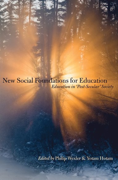 bokomslag New Social Foundations for Education