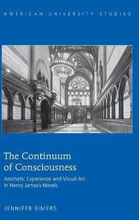 bokomslag The Continuum of Consciousness