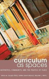 bokomslag Curriculum as Spaces