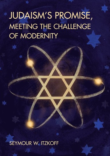 bokomslag Judaism's Promise, Meeting the Challenge of Modernity
