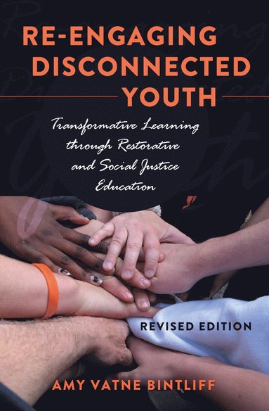 bokomslag Re-engaging Disconnected Youth