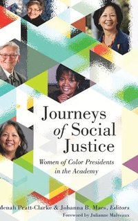 bokomslag Journeys of Social Justice