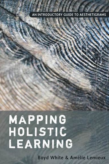 bokomslag Mapping Holistic Learning