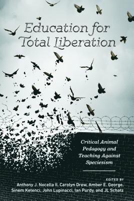 bokomslag Education for Total Liberation