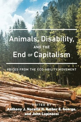 Anthony J. Nocella II, Amber E. George, John Lupinacci, Anthony J. Nocella Ii - Animals, Disability, and the End of Capitalism, Häftad
