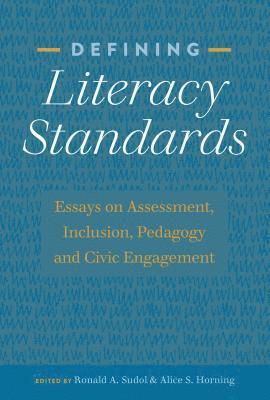 bokomslag Defining Literacy Standards