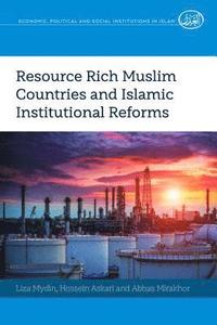 bokomslag Resource Rich Muslim Countries and Islamic Institutional Reforms