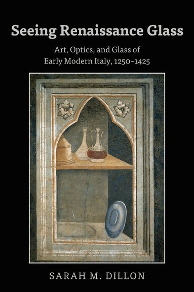 Sarah Dillon - Seeing Renaissance Glass, Inbunden