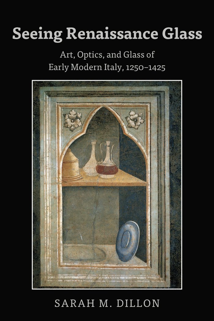 Sarah Dillon - Seeing Renaissance Glass, Inbunden