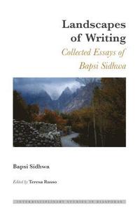 bokomslag Landscapes of Writing