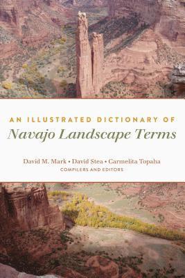 David M. Mark, David Stea, Carmelita Topaha - Illustrated Dictionary of Navajo Landscape Terms, Inbunden