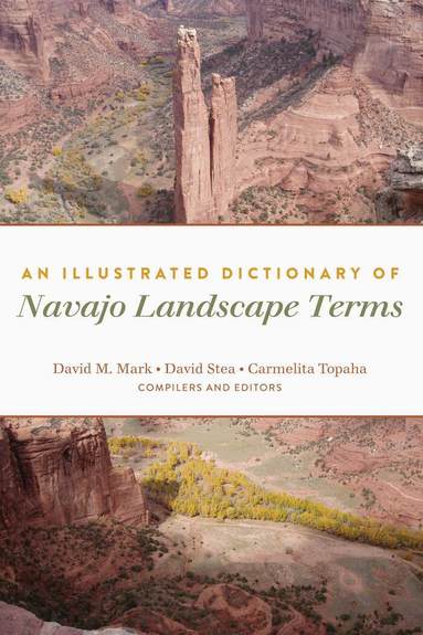 David M. Mark, David Stea, Carmelita Topaha - Illustrated Dictionary of Navajo Landscape Terms, Häftad