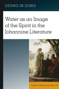 bokomslag Water as an Image of the Spirit in the Johannine Literature
