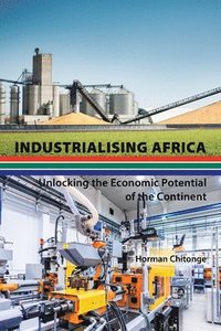bokomslag Industrialising Africa