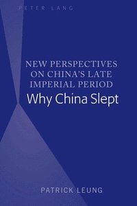 bokomslag New Perspectives on Chinas Late Imperial Period