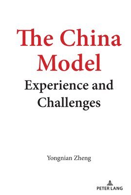 The China Model 1