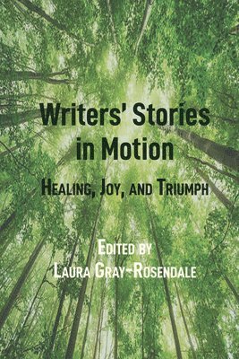 bokomslag Writers Stories in Motion