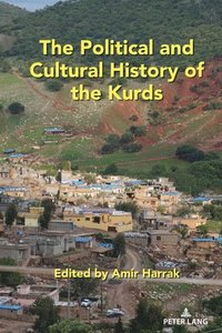 bokomslag The Political and Cultural History of the Kurds