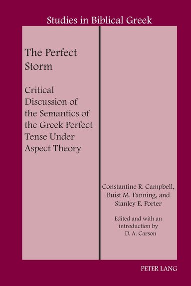 Constantine R. Campbell, Buist M. Fanning, Stanley E. Porter, D. A. Carson - Perfect Storm, Inbunden