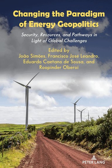 João Simões, Francisco José Leandro, Eduardo Caetano de Sousa, Roopinder Oberoi - Changing the Paradigm of Energy Geopolitics, Inbunden