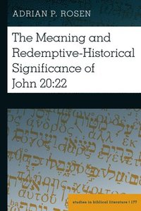 bokomslag Meaning and Redemptive-Historical Significance of John 20:22