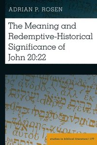 bokomslag The Meaning and Redemptive-Historical Significance of John 20:22