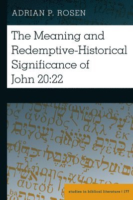 bokomslag Meaning and Redemptive-Historical Significance of John 20:22