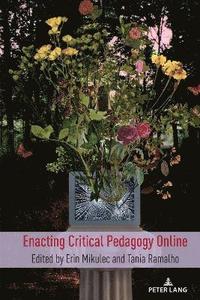 bokomslag Enacting Critical Pedagogy Online