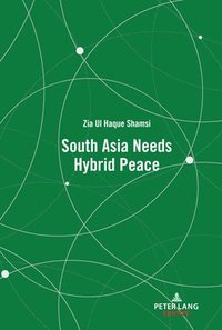 bokomslag South Asia Needs Hybrid Peace