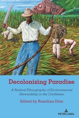 bokomslag Decolonizing Paradise