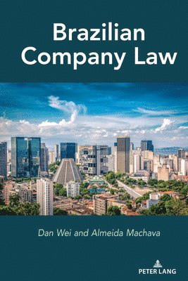 Brazilian Company Law 1