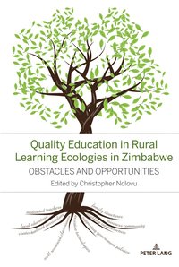 bokomslag Quality Education in Rural Learning Ecologies in Zimbabwe