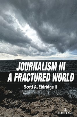 bokomslag Journalism in a Fractured World