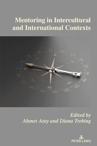 Ahmet Atay, Diana Trebing - Mentoring in Intercultural and International Contexts, Häftad