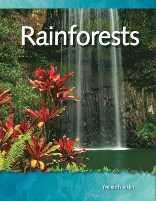 Rainforests 1