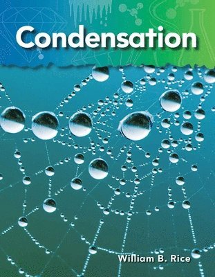 William B. Rice, William Rice - Condensation, Häftad