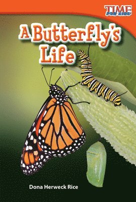 bokomslag Butterfly's Life