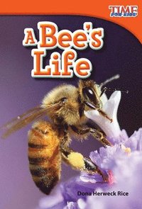 bokomslag A Bee's Life Read-along ebook