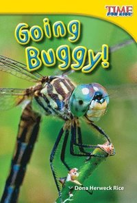 bokomslag Going Buggy!
