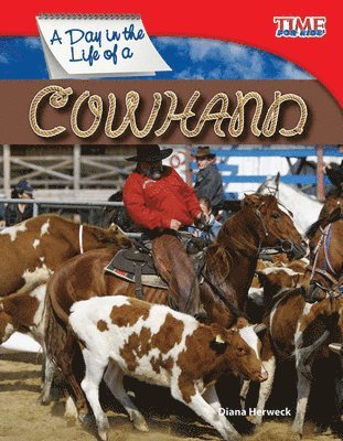 bokomslag Day in the Life of a Cowhand