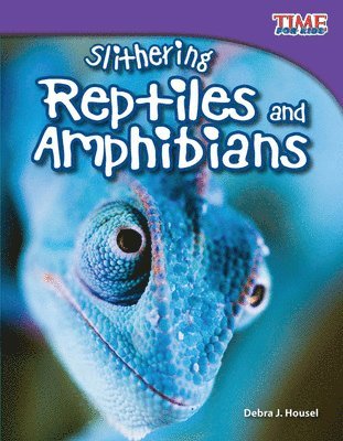Slithering Reptiles and Amphibians 1