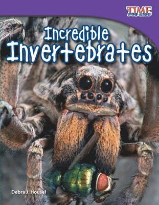 Incredible Invertebrates 1